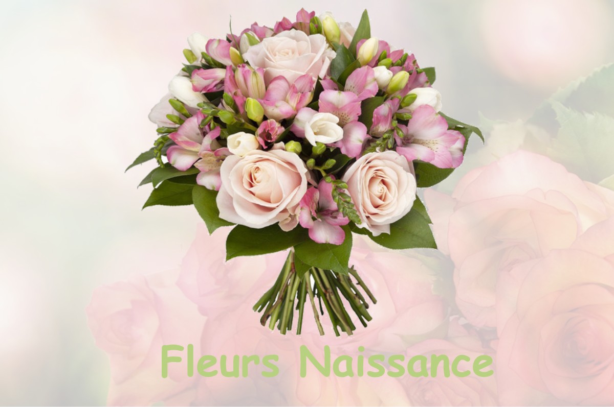 fleurs naissance CHEMIN