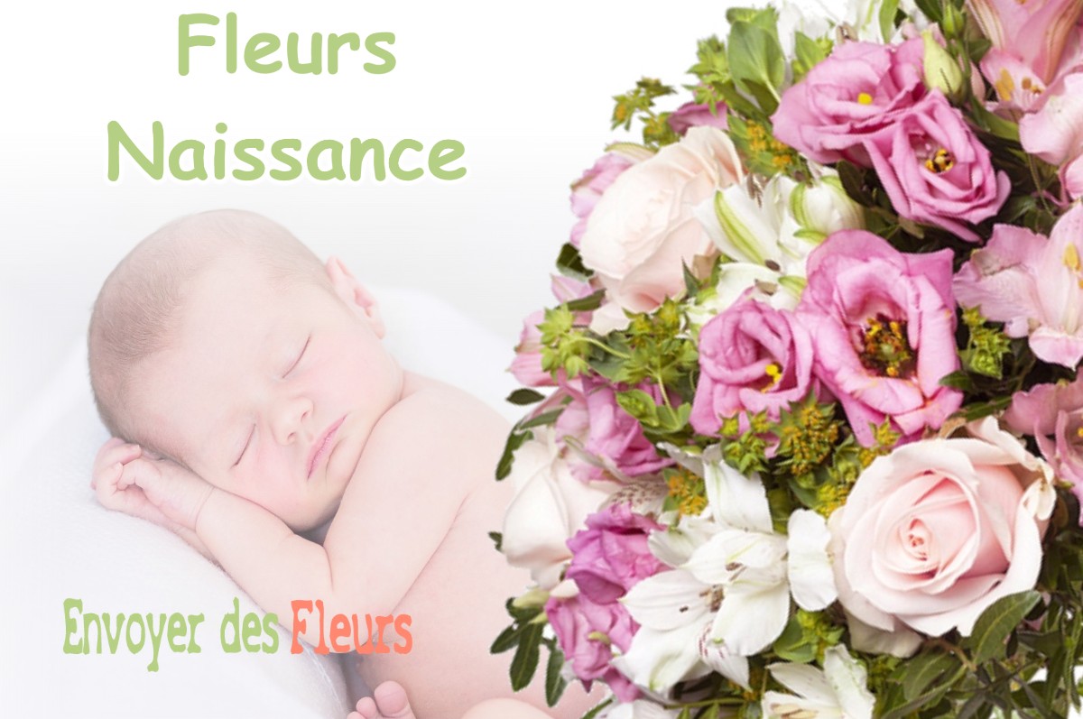 lIVRAISON FLEURS NAISSANCE à CHEMIN